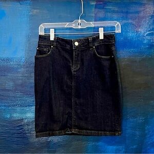 Ann Taylor Navy Blue Denim Mini Skirt